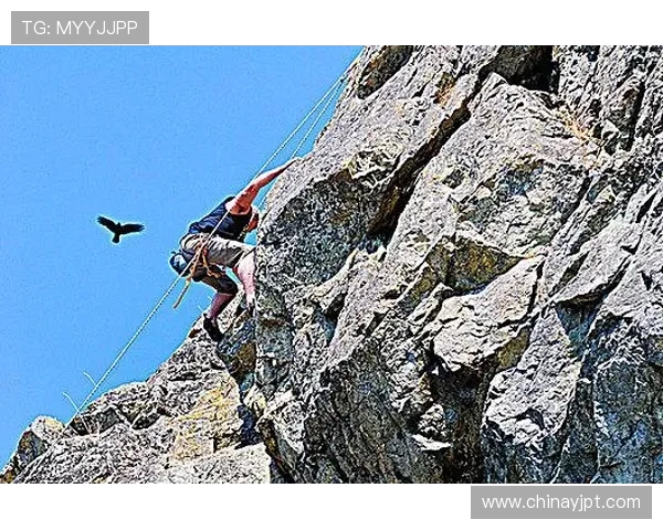武汉极限运动队在世界攀岩锦标赛中的蜕变与新挑战之路